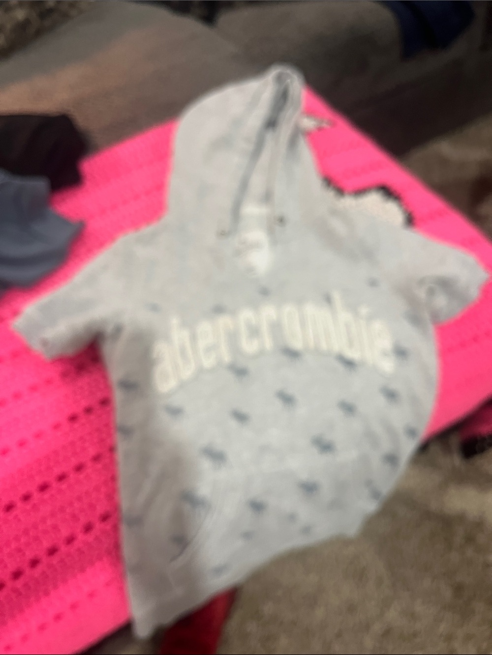 Abercrombie & Fitch Light Gray Hoodie with Navy Accents